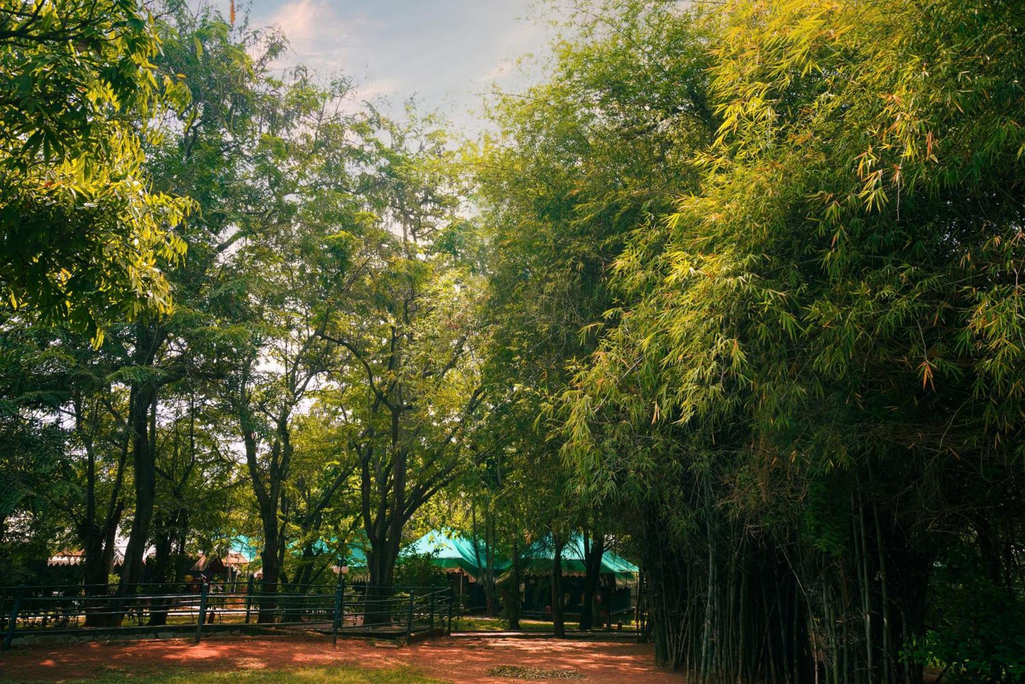 Olde Bangalore Resort And Wellness Center Devanahalli Bagian luar foto